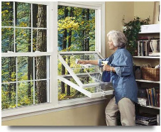 Replacement Windows